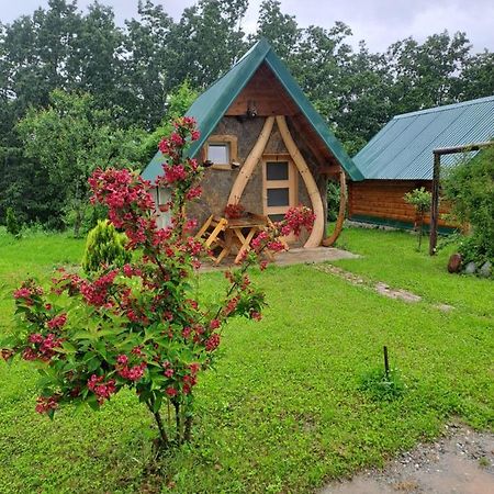 Gazela Bungalov 1 モイコヴァツ エクステリア 写真